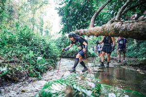 BIB: 
                            <button type="button" onclick="openModal(25451786)" class="btn btn-primary btn-sm float-right btn-popup" data-toggle="modal" data-target=".modal-high-quality">
                        <i class="fas fa-shopping-cart"></i> Add to Cart
                    </button>
                                            <button type="button" onclick="isThisMe(25451786, true)" class="btn btn-success btn-sm float-right btn-popup btn-isme hidden" data-toggle="tooltip" data-placement="bottom" title="นี่คือรูปของคุณใช่ไหม คลิกที่นี่เพื่อเอาเข้าอัลบั้ม">
                        <i class="fas fa-plus"></i> Add to album
                    </button>
                    <button type="button" onclick="isThisMe(25451786, false)" class="btn btn-warning btn-sm float-right btn-popup btn-isnotme hidden">
                        <i class="fas fa-ban"></i> Remove from album
                    </button>